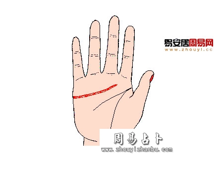 感情线末端伸向木星丘与土星丘