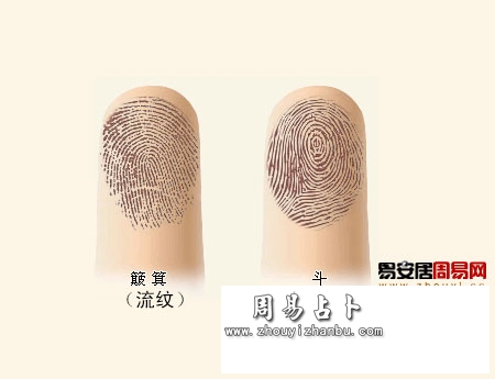 不同指纹代表的性格分析