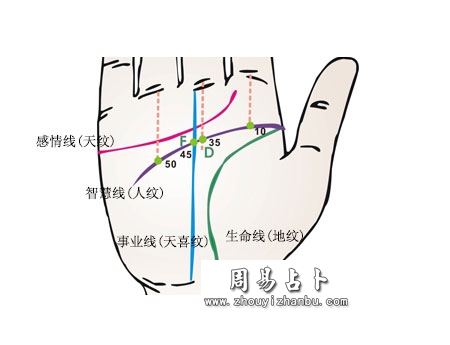 手相智慧线流年法图解