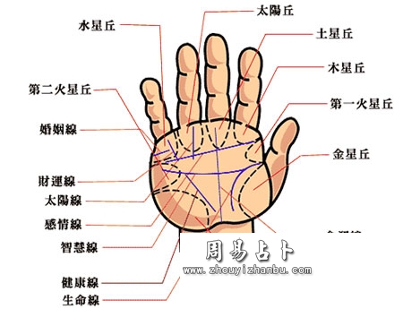 手相三大主线