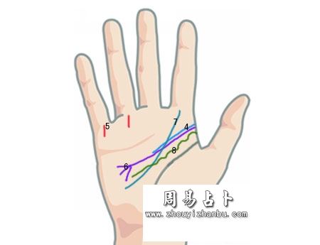 适合当老板的智慧线手相