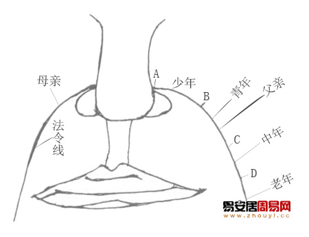 法令纹看相算命