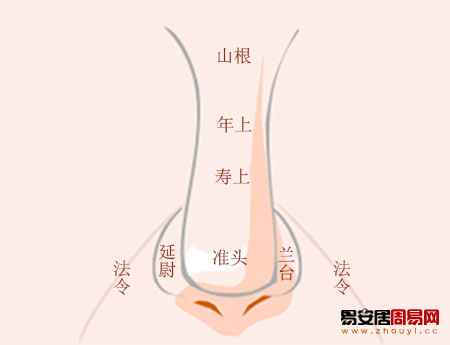 女人鼻子面相学图解