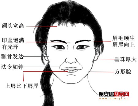 容易成为女强人的面相特征