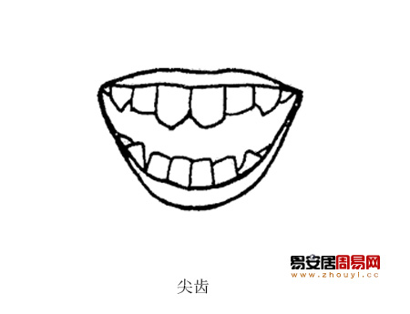 尖齿