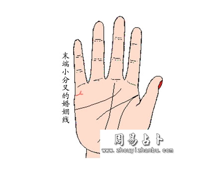 婚姻线分叉算命图解 
