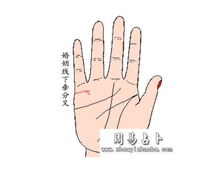 婚姻线下垂有分叉 