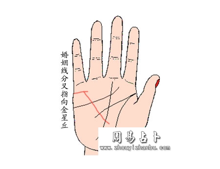 婚姻线末端分叉