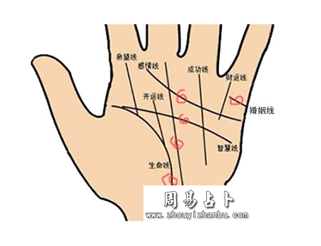 螺旋纹讲解图片