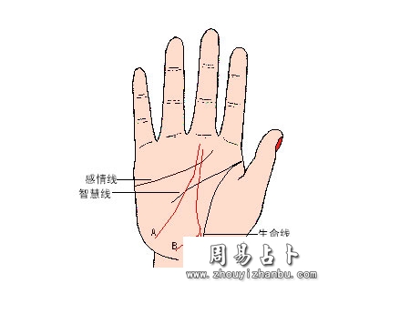 起自月丘斜立的事业线