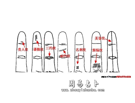 从无名指纹路看出你的一生