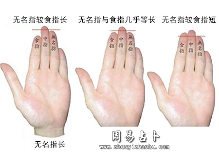 从无名指长度看人的性格
