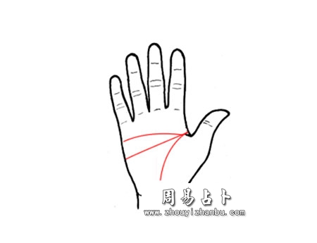 生命线智慧线感情线同源