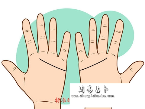 标准型的感情线
