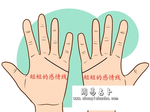都是短的感情线