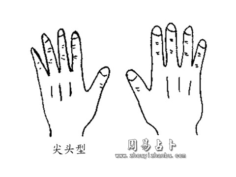 尖头和圆锥手型