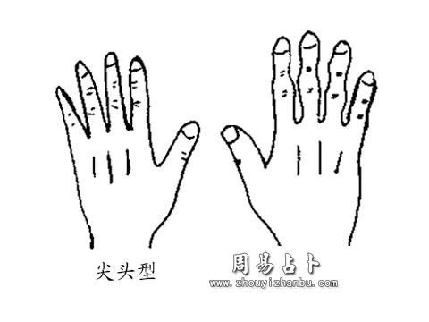 尖头型和突节型手型