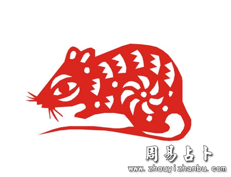 1972年是什么生肖年