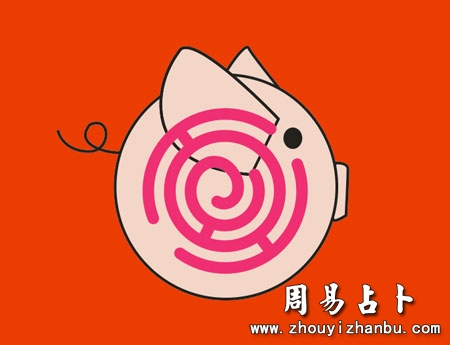 2019年是什么生肖年