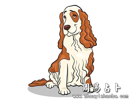 1946年是什么生肖年