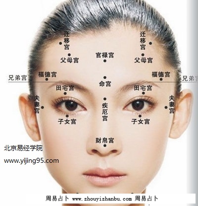 看五官知道求职职业分析