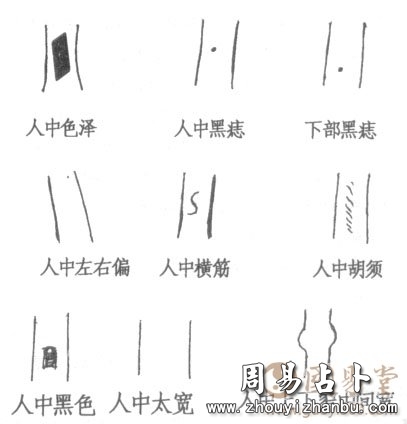 面相人中种类