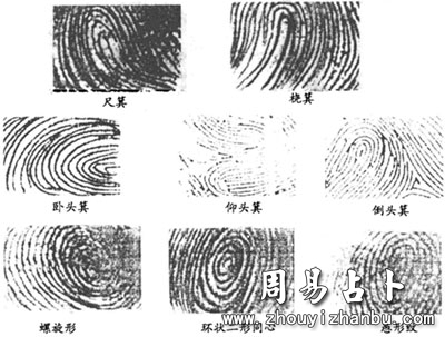 指纹与智力，手指上的斗和簸箕和智慧的关系