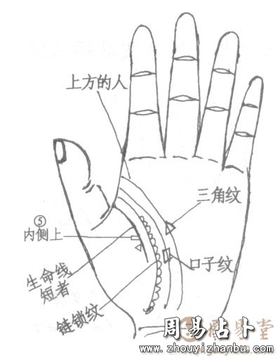 生命线图解生命线长短