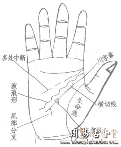 智慧线的起点、波浪纹、三角纹、中断者图解