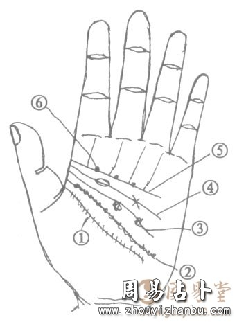 手相智慧线图解：花星纹、向上的支线