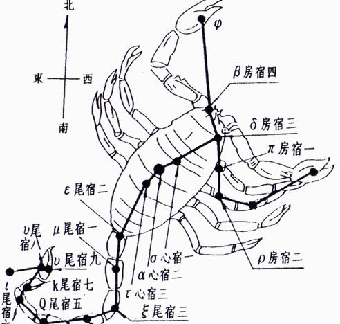 奥斯卡2017年天蝎座运势