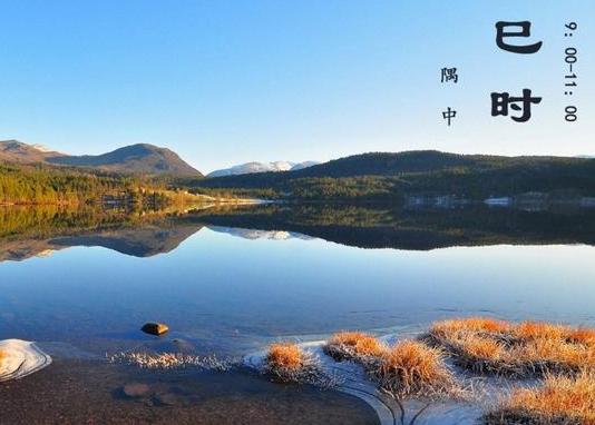 巳时出生五行缺什么