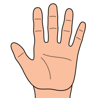 如何从男人的手相看财运