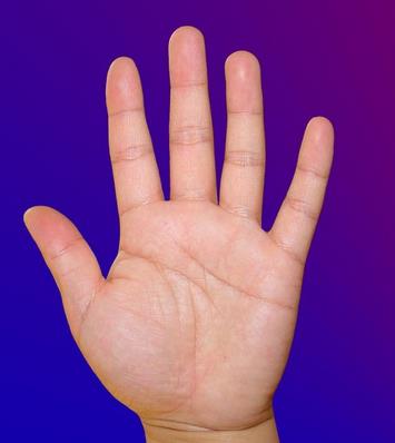 怎样从<a href=/mianxiang/ target=