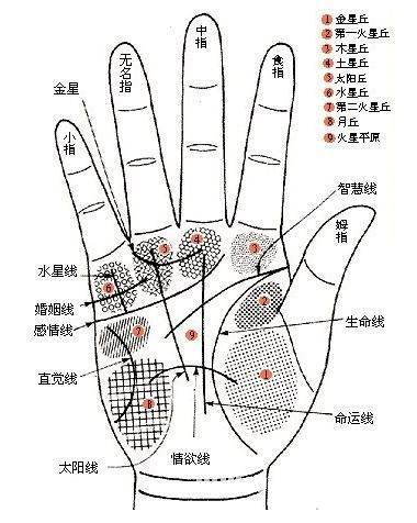 最强手相图解：看女人一生财运富贵，第5图厉害了……