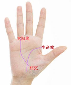 最强手相图解：看女人一生财运富贵，第5图厉害了……