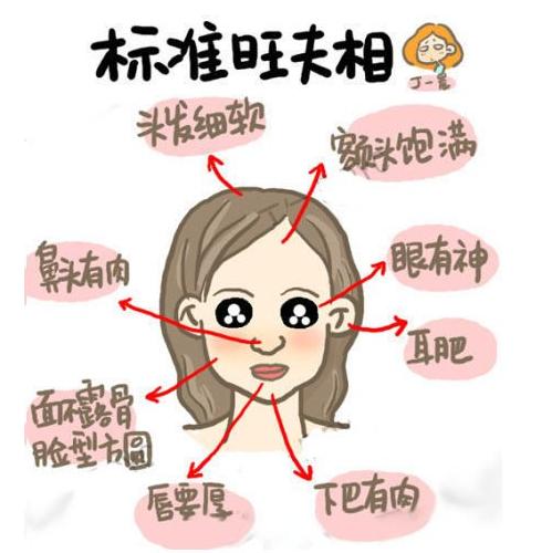 这种面相的人，是标准的旺夫相