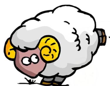 素质相当不错，懂得迁就别人的4个生肖