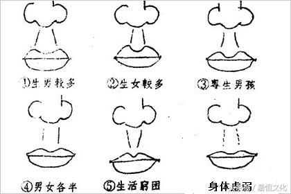 女人面相看人中图解，人中注解