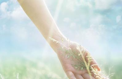 哪种人的手相会注定有钱呢