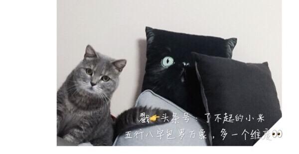 你以为房价很贵一直观望，什么时候最适合下手？｜八字基础篇印星