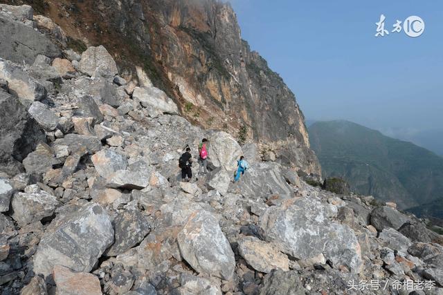 八字命局反局解释