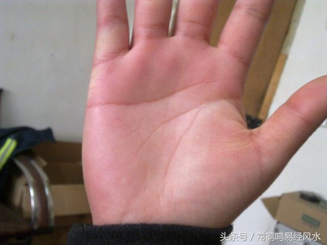 盘点！在风水中如何通过八宫位手相算命知天命！