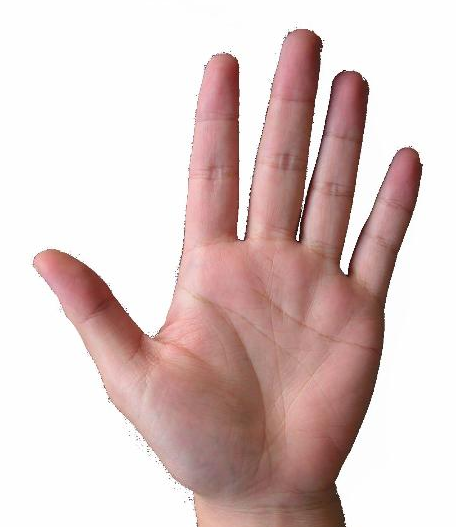 女人旺夫和克服的手纹图解