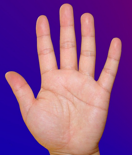 注定富贵的男性手相图解