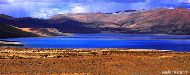 透出财官印，晚运较早运好的生肖