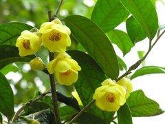 不懂算命的人必看，你问过这种“愚蠢”问题吗？