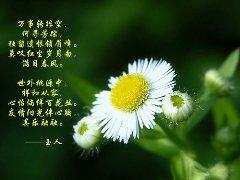 不懂算命的人必看，你问过这种“愚蠢”问题吗？