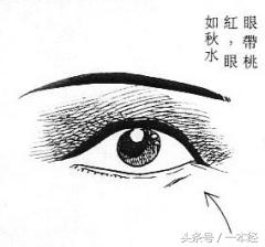 教你看女人的面相：淫荡篇