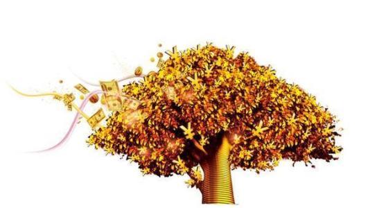 好运来临！最近五年财源滚滚的生肖